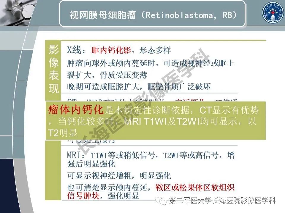 影像PPT - 【PPT】眼眶内肿瘤的影像诊断-13