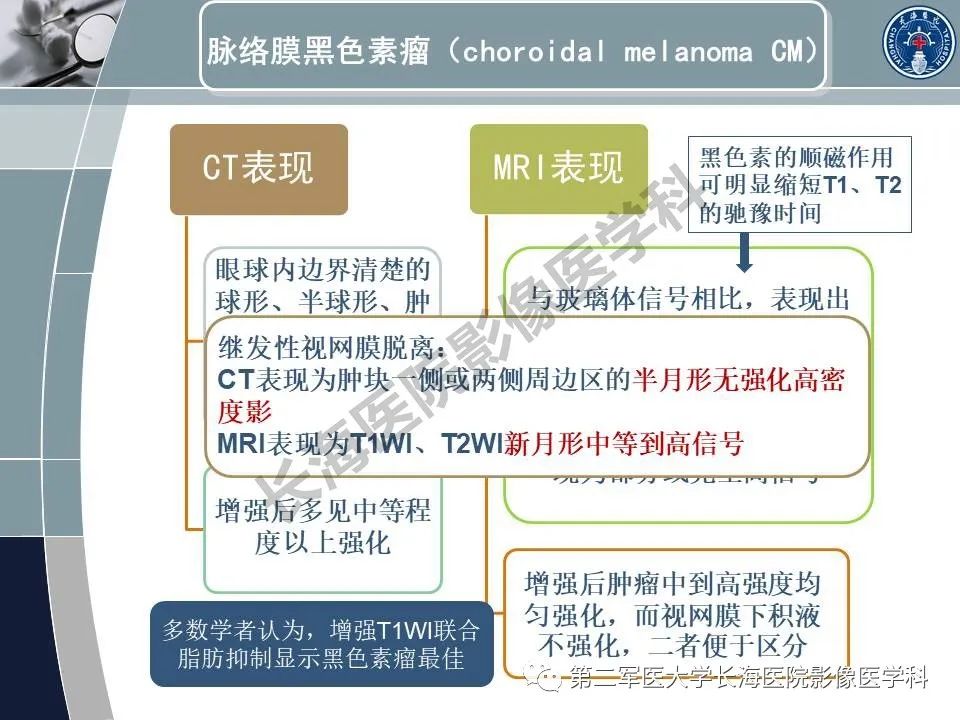 影像PPT - 【PPT】眼眶内肿瘤的影像诊断-20