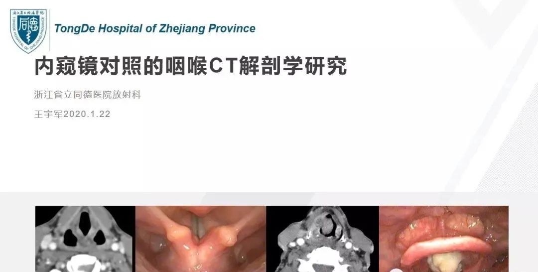 影像PPT - 【PPT】内窥镜对照的咽喉CT解剖学研究-1