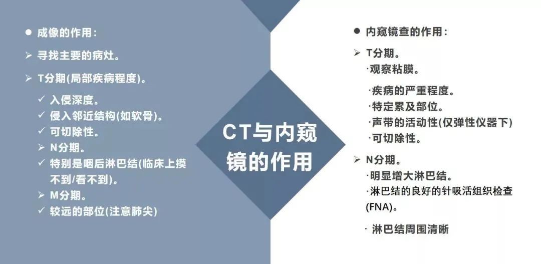 影像PPT - 【PPT】内窥镜对照的咽喉CT解剖学研究-2