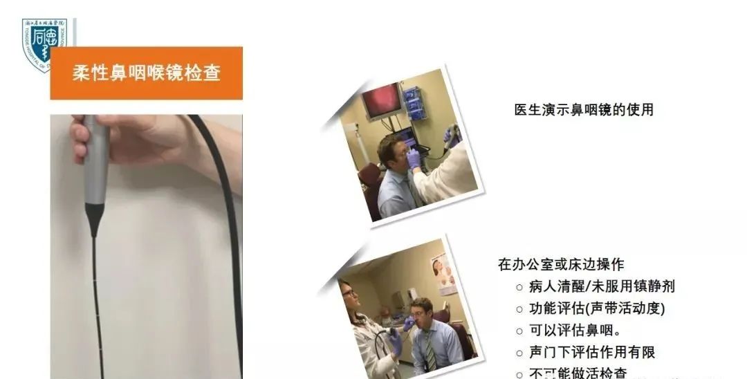 影像PPT - 【PPT】内窥镜对照的咽喉CT解剖学研究-4