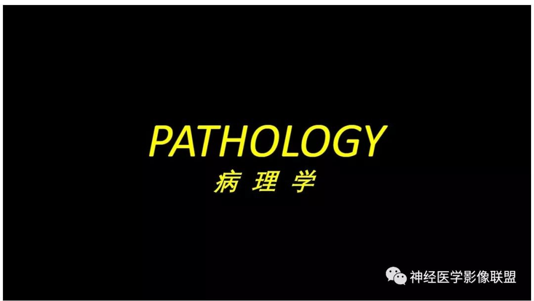 影像PPT - 【PPT】内窥镜对照的咽喉CT解剖学研究-19