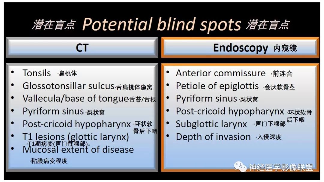 影像PPT - 【PPT】内窥镜对照的咽喉CT解剖学研究-34