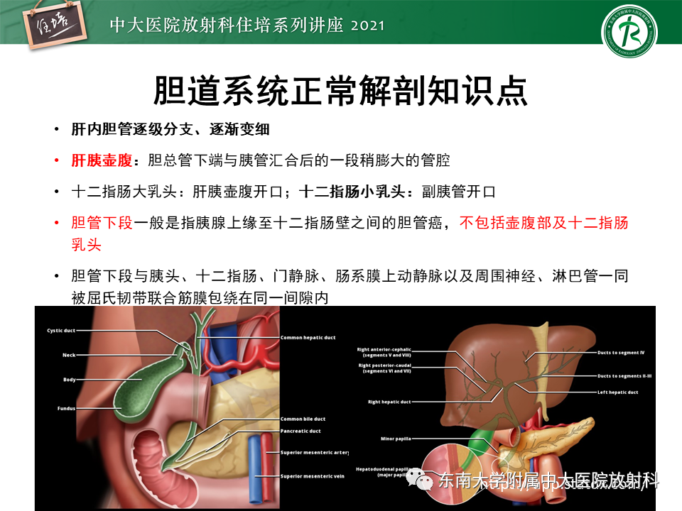 影像PPT - 【PPT】认识胆道系统影像常见漏诊、误诊病变-2