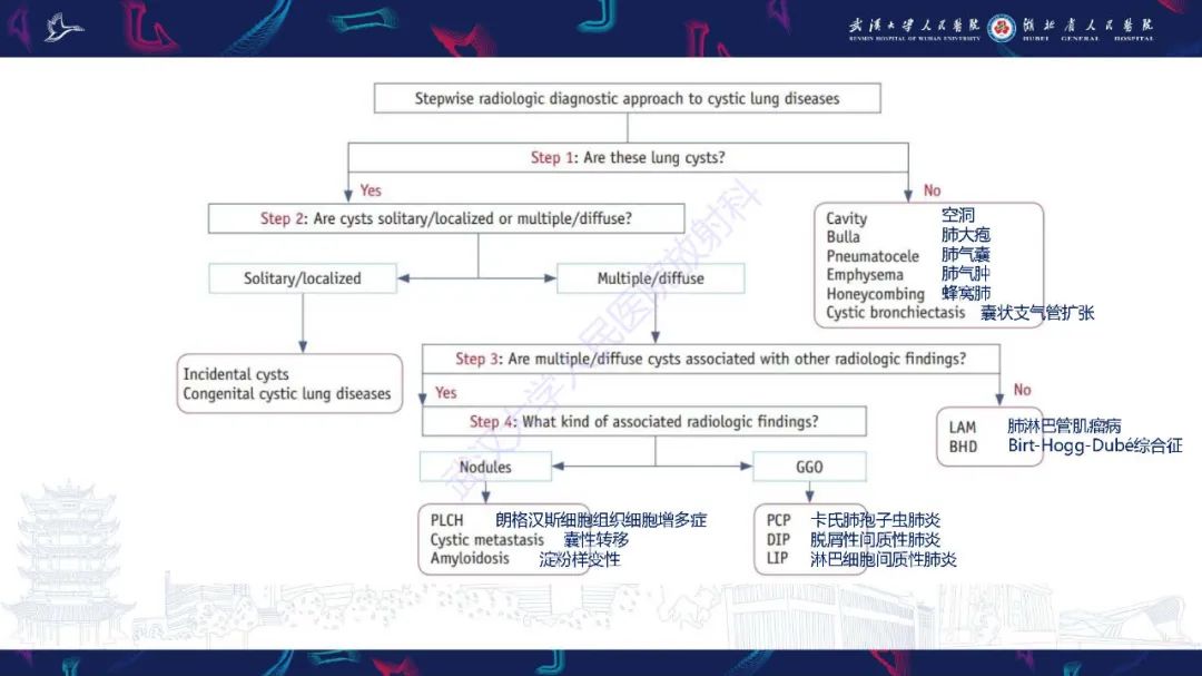 影像PPT - 【PPT】肺部囊性病变影像诊断-3