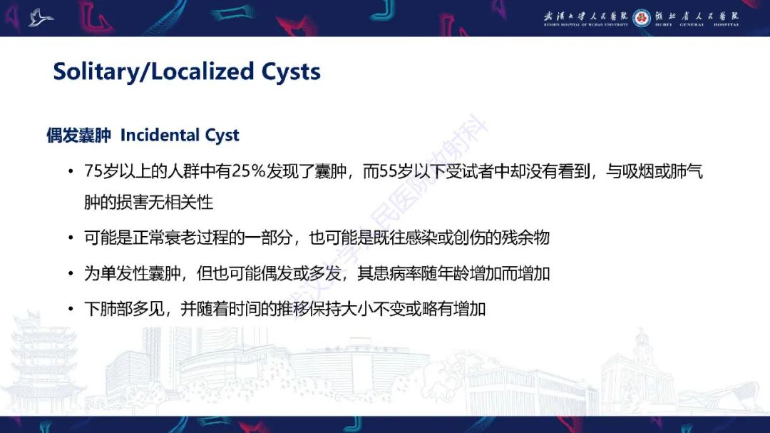 影像PPT - 【PPT】肺部囊性病变影像诊断-15