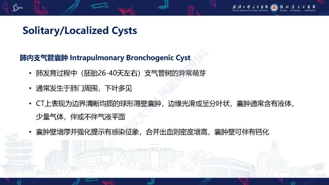 影像PPT - 【PPT】肺部囊性病变影像诊断-17