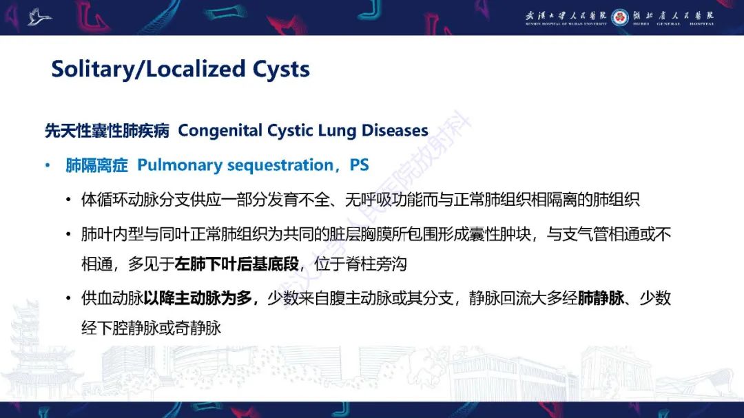 影像PPT - 【PPT】肺部囊性病变影像诊断-21