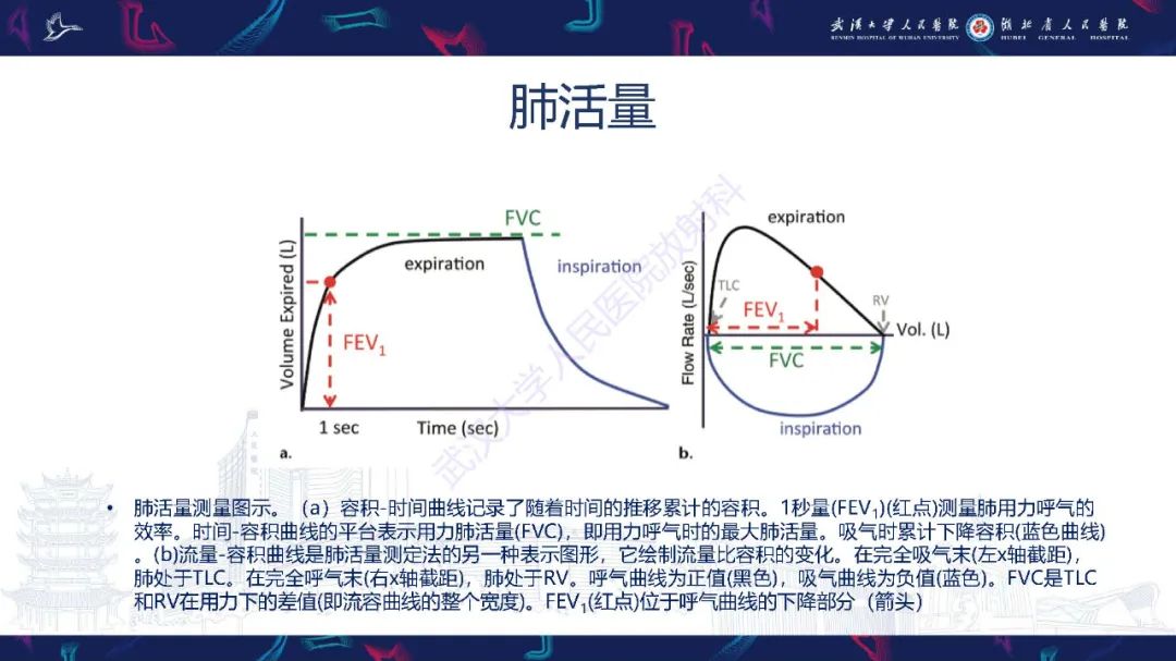 影像PPT - 【PPT】肺功能检查影像与临床-7