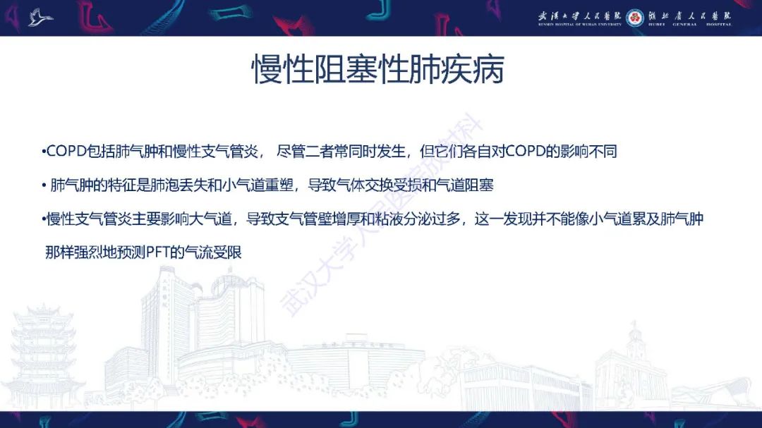 影像PPT - 【PPT】肺功能检查影像与临床-13