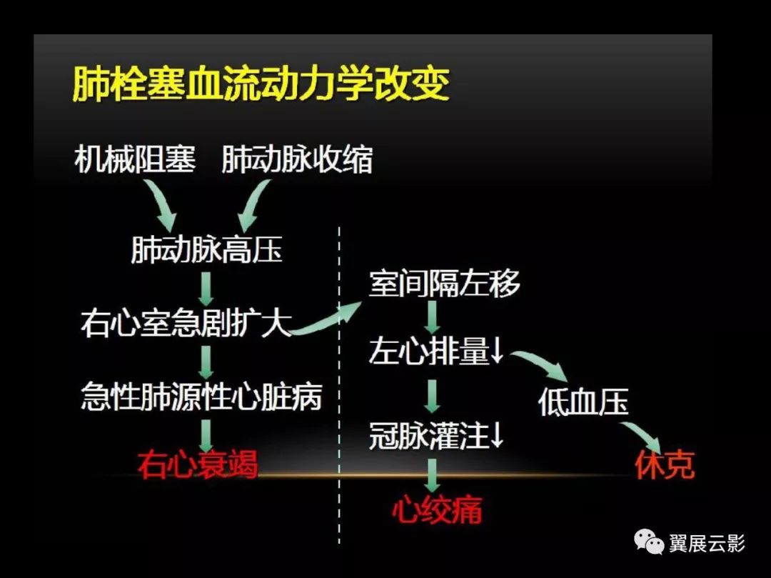 影像PPT - 【PPT】肺栓塞影像诊断与鉴别-3