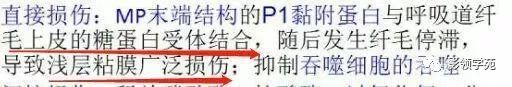 影像PPT - 支原体肺炎相关临床病理及影像知识点趣解-3 影像PPT - 支原体肺炎相关临床病理及影像知识点趣解-3
