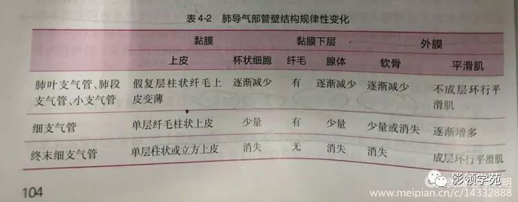 影像PPT - 支原体肺炎相关临床病理及影像知识点趣解-5 影像PPT - 支原体肺炎相关临床病理及影像知识点趣解-5