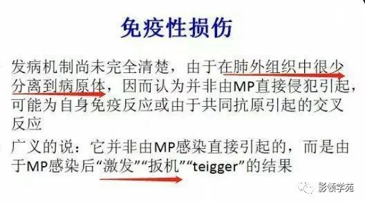 影像PPT - 支原体肺炎相关临床病理及影像知识点趣解-11 影像PPT - 支原体肺炎相关临床病理及影像知识点趣解-11