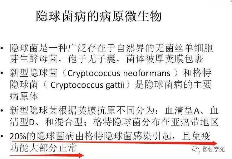 影像PPT - 隐球菌的各种不同表现-1 影像PPT - 隐球菌的各种不同表现-1