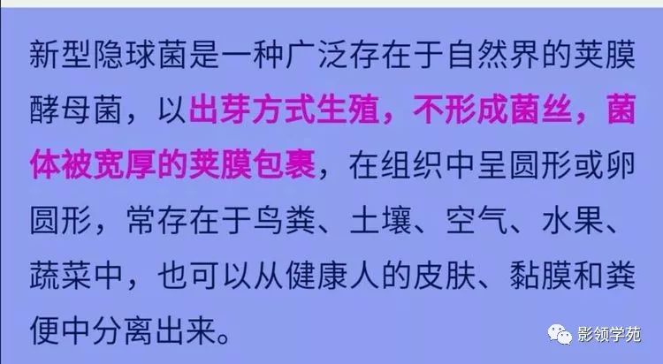 影像PPT - 隐球菌的各种不同表现-17 影像PPT - 隐球菌的各种不同表现-17