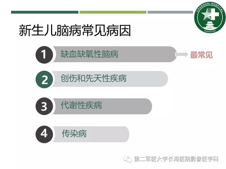 影像PPT - 【PPT】新生儿缺血缺氧性脑病的MR表现及相关解剖、生理基础-2