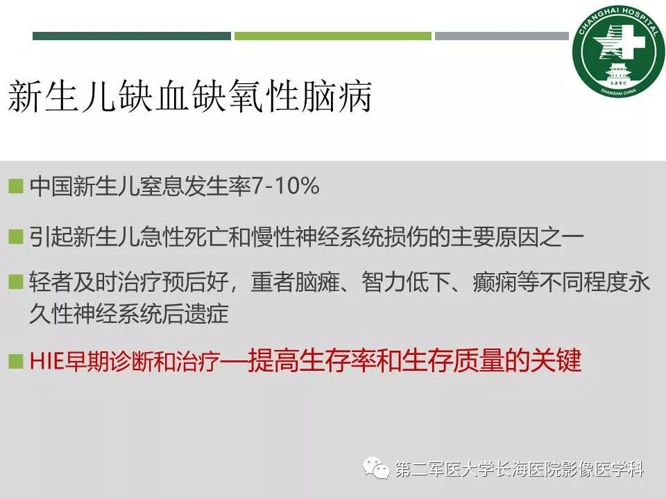 影像PPT - 【PPT】新生儿缺血缺氧性脑病的MR表现及相关解剖、生理基础-3