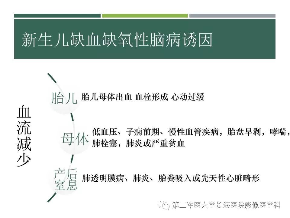 影像PPT - 【PPT】新生儿缺血缺氧性脑病的MR表现及相关解剖、生理基础-4