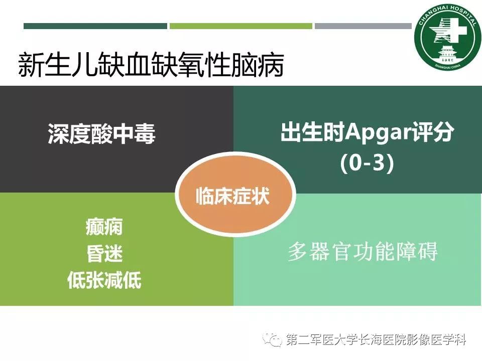 影像PPT - 【PPT】新生儿缺血缺氧性脑病的MR表现及相关解剖、生理基础-5