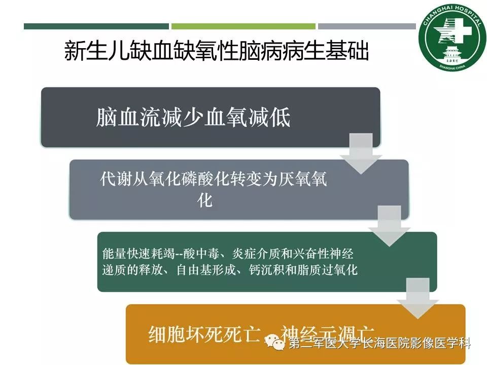 影像PPT - 【PPT】新生儿缺血缺氧性脑病的MR表现及相关解剖、生理基础-6