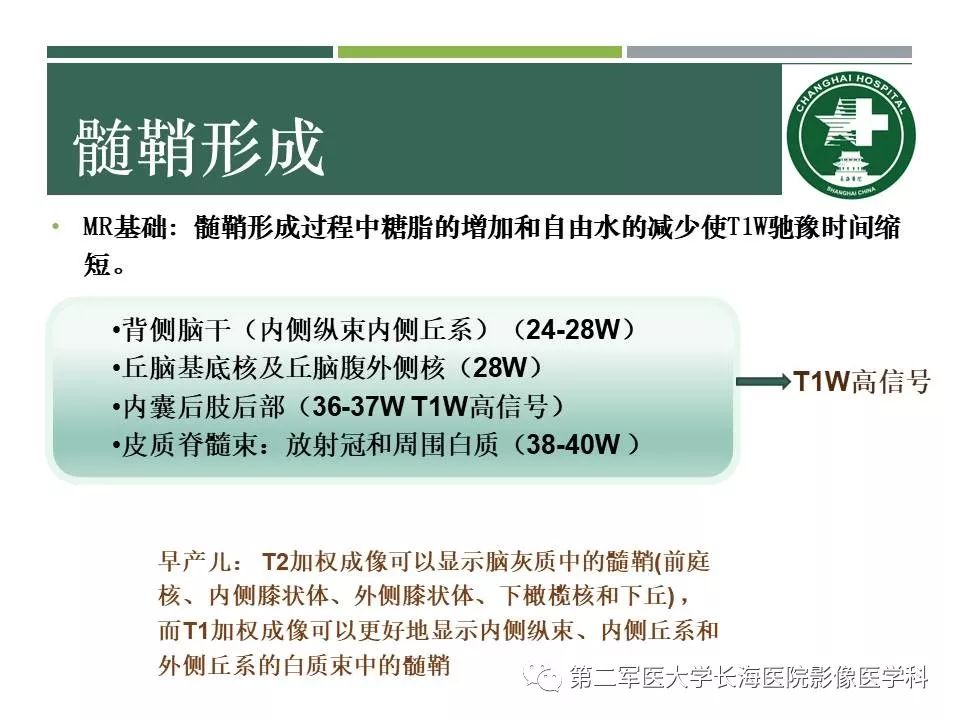 影像PPT - 【PPT】新生儿缺血缺氧性脑病的MR表现及相关解剖、生理基础-24