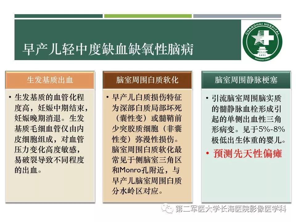 影像PPT - 【PPT】新生儿缺血缺氧性脑病的MR表现及相关解剖、生理基础-27