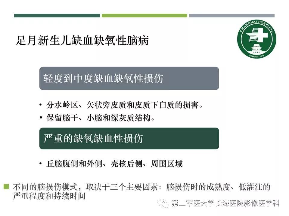 影像PPT - 【PPT】新生儿缺血缺氧性脑病的MR表现及相关解剖、生理基础-37