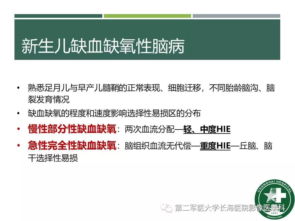 影像PPT - 【PPT】新生儿缺血缺氧性脑病的MR表现及相关解剖、生理基础-55