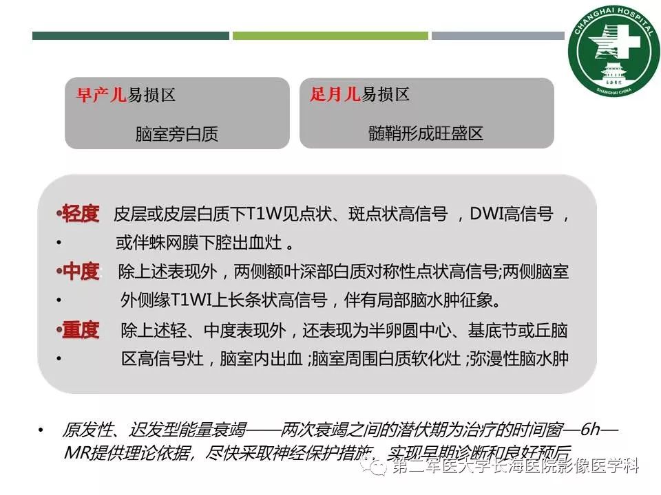 影像PPT - 【PPT】新生儿缺血缺氧性脑病的MR表现及相关解剖、生理基础-56