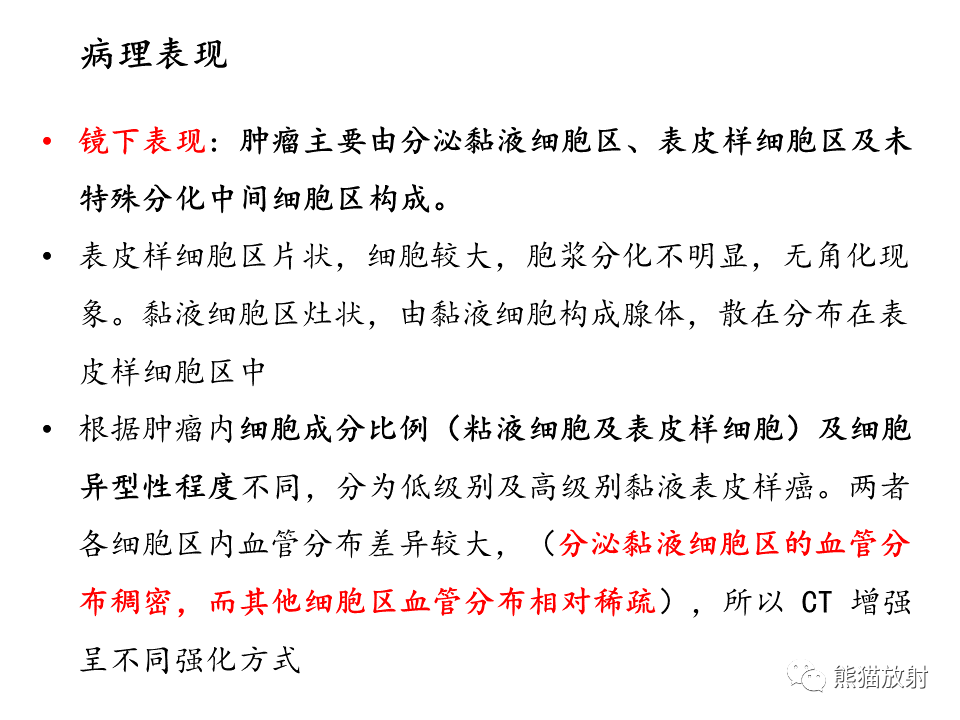 影像PPT - 【病例】支气管粘液表皮样癌2例CT影像-28