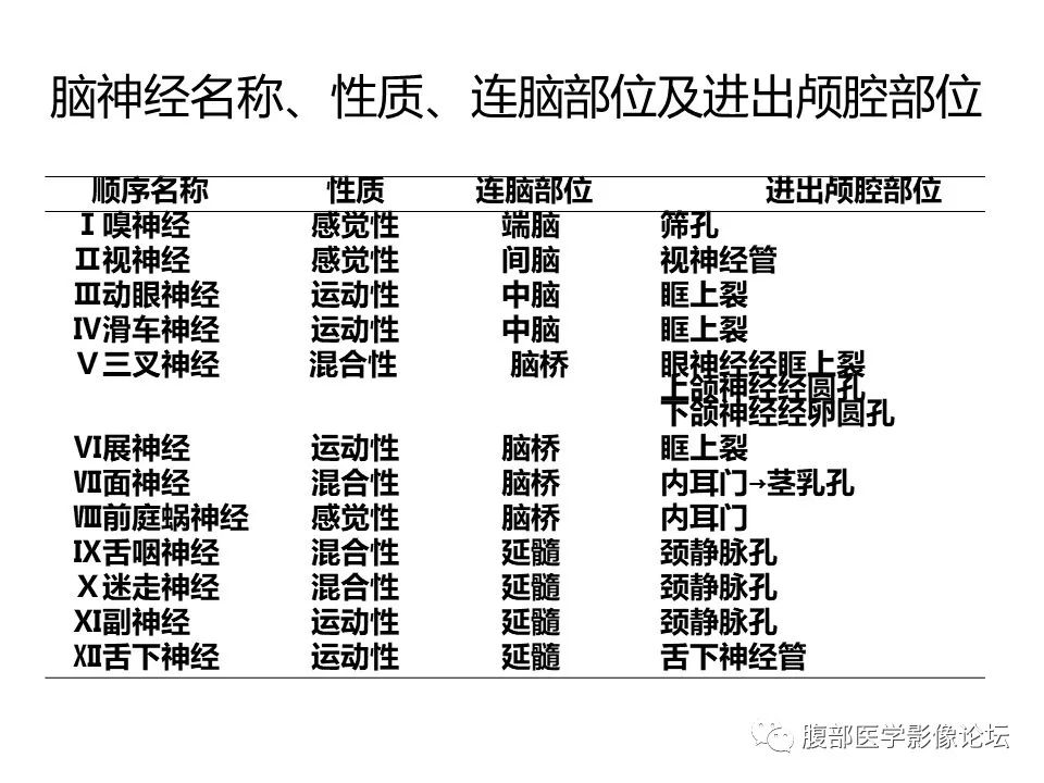影像PPT - 【PPT】十二颅神孔道出-5