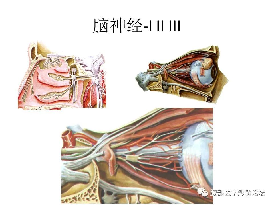 影像PPT - 【PPT】十二颅神孔道出-6