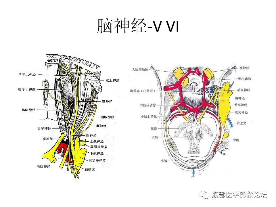 影像PPT - 【PPT】十二颅神孔道出-8
