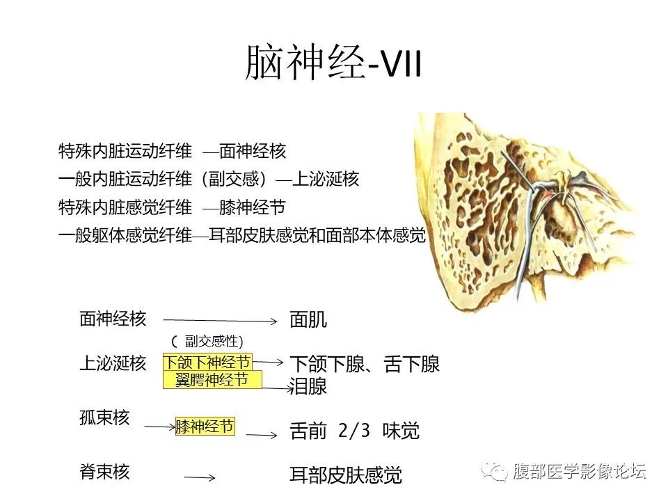 影像PPT - 【PPT】十二颅神孔道出-9