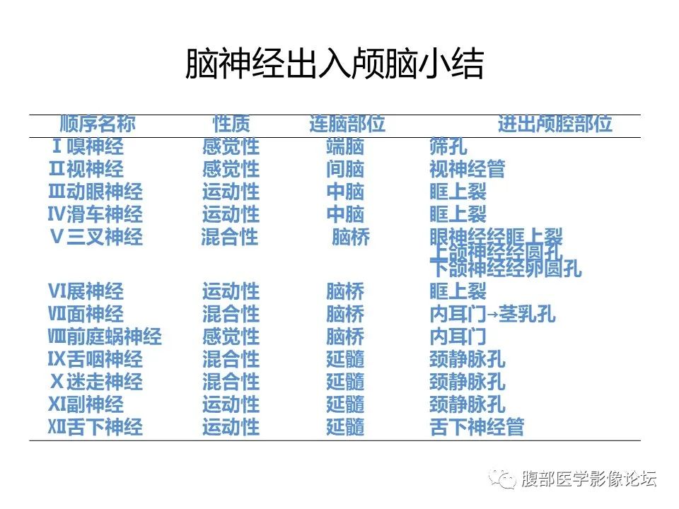 影像PPT - 【PPT】十二颅神孔道出-76