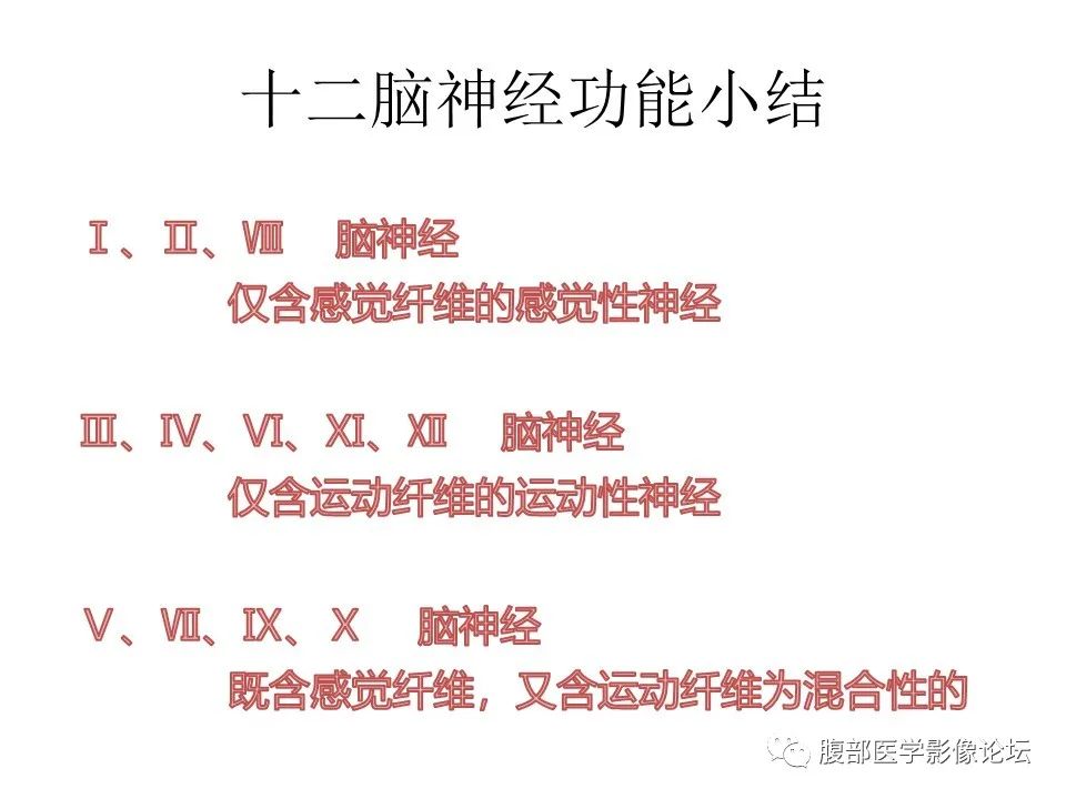 影像PPT - 【PPT】十二颅神孔道出-77