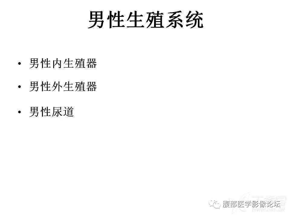 影像PPT - 【PPT】前列腺的解剖和功能-2