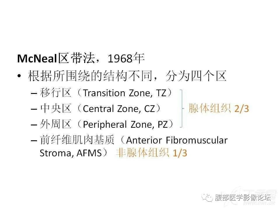 影像PPT - 【PPT】前列腺的解剖和功能-11