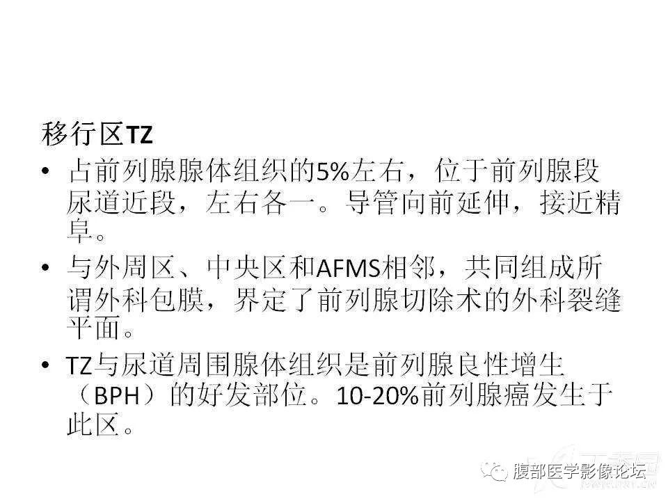 影像PPT - 【PPT】前列腺的解剖和功能-14