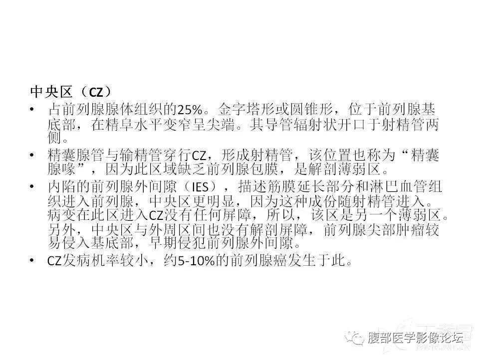 影像PPT - 【PPT】前列腺的解剖和功能-16