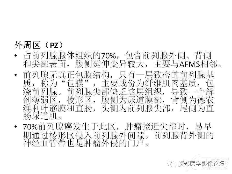 影像PPT - 【PPT】前列腺的解剖和功能-18