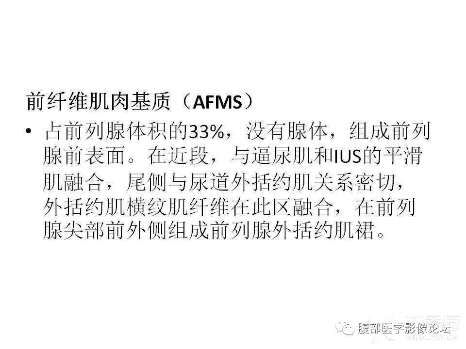 影像PPT - 【PPT】前列腺的解剖和功能-20