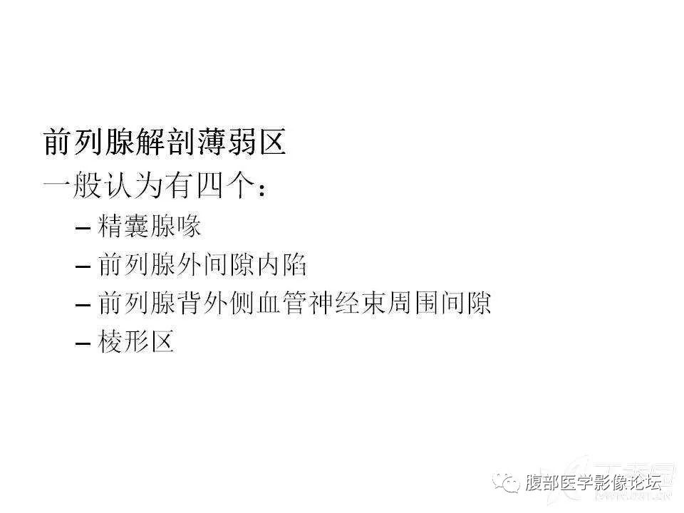 影像PPT - 【PPT】前列腺的解剖和功能-23