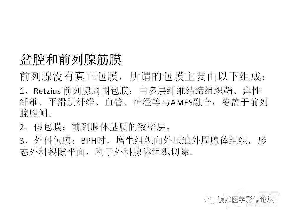 影像PPT - 【PPT】前列腺的解剖和功能-33
