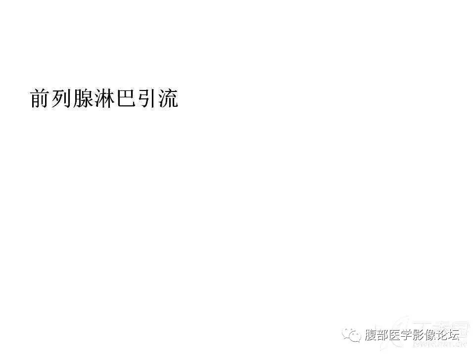 影像PPT - 【PPT】前列腺的解剖和功能-41