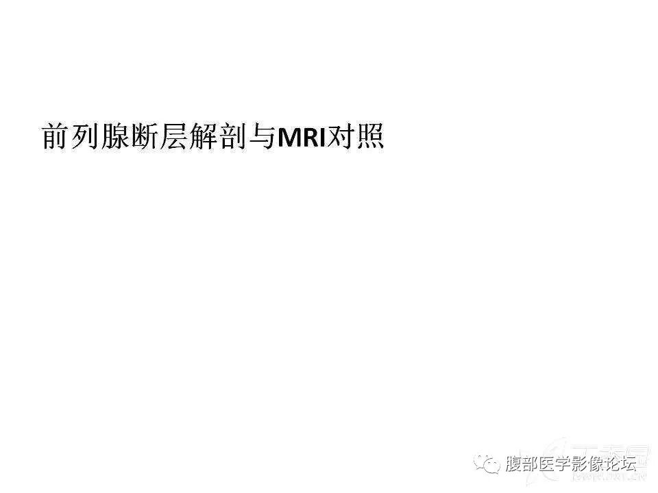 影像PPT - 【PPT】前列腺的解剖和功能-44