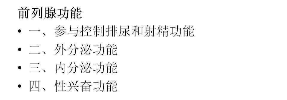 影像PPT - 【PPT】前列腺的解剖和功能-63