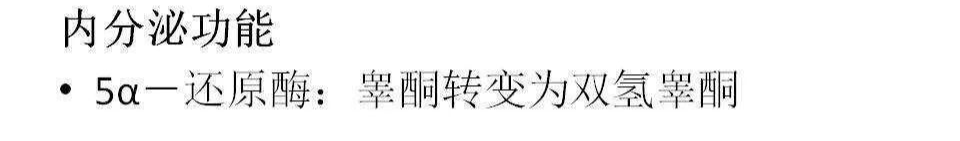 影像PPT - 【PPT】前列腺的解剖和功能-65