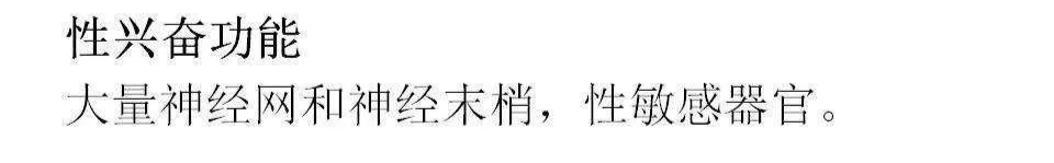 影像PPT - 【PPT】前列腺的解剖和功能-66